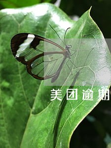 美团逾期两年后会拉黑吗 美团逾期两年后会拉黑吗