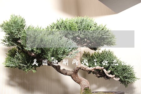 美团逾期两次了会无法使用吗 美团逾期两次了会无法使用吗