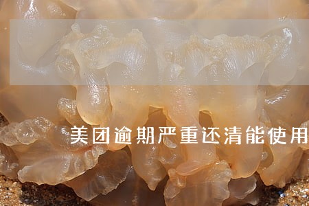 美团逾期严重还清能使用吗 美团逾期严重还清能使用吗
