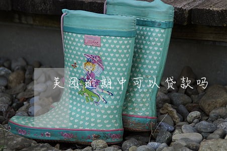 美团逾期中可以贷款吗 美团逾期中可以贷款吗