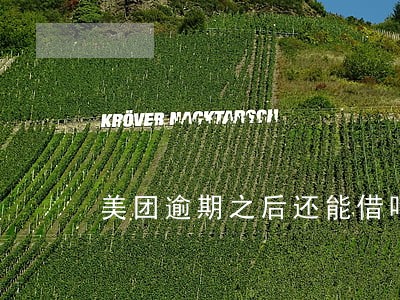 美团逾期之后还能借吗