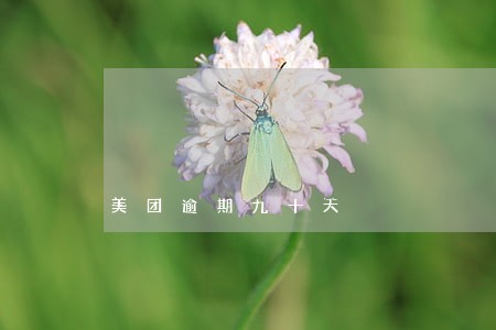 美团逾期九十天