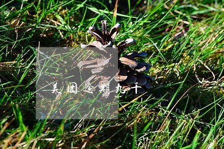 美团逾期九千 美团逾期九千