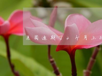 美团逾期了2个月上征信吗 美团逾期了2个月上征信吗