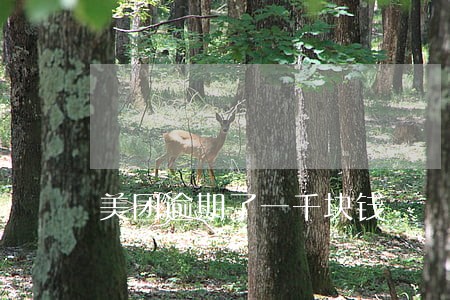 美团逾期了一千块钱
