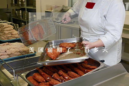 美团逾期了一百多天