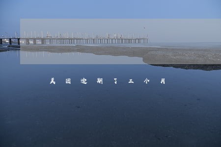 美团逾期了三个月 美团逾期了三个月