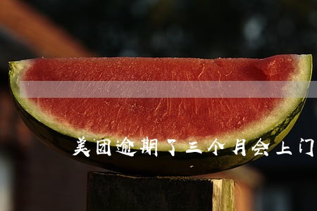 美团逾期了三个月会上门 美团逾期了三个月会上门