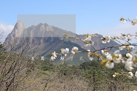 美团逾期了不合法催收 美团逾期了不合法催收