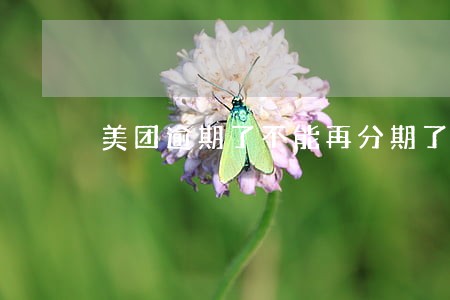 美团逾期了不能再分期了吗