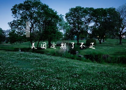 美团逾期了不还