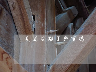 美团逾期了严重吗 美团逾期了严重吗