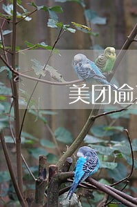 美团逾期了会上诉么