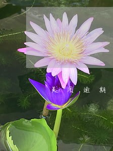 美团逾期了会不会给你停掉卡 美团逾期了会不会给你停掉卡