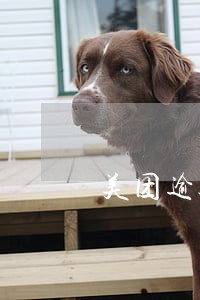 美团逾期了会终止分期吗 美团逾期了会终止分期吗