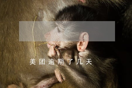 美团逾期了几天