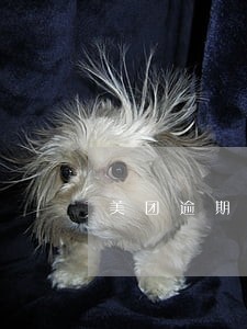 美团逾期了几天还进去借不出来了 美团逾期了几天还进去借不出来了