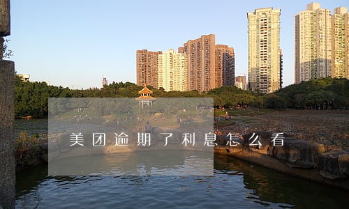 美团逾期了利息怎么看