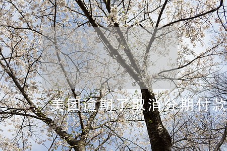 美团逾期了取消分期付款