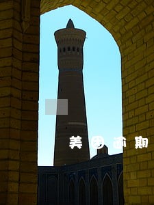 美团逾期了可以坐飞机吗