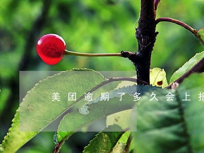 美团逾期了多久会上报公安 美团逾期了多久会上报公安