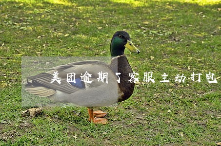 美团逾期了客服主动打电话协商 美团逾期了客服主动打电话协商