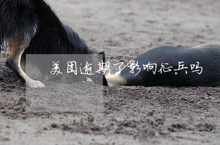 美团逾期了影响征兵吗 美团逾期了影响征兵吗
