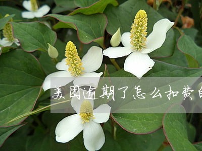 美团逾期了怎么扣费的 美团逾期了怎么扣费的