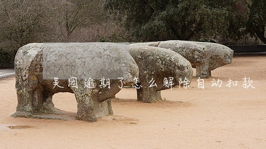 美团逾期了怎么解除自动扣款 美团逾期了怎么解除自动扣款