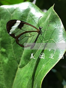 美团逾期了打电话威胁我咋办 美团逾期了打电话威胁我咋办