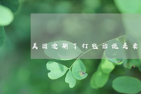 美团逾期了打电话说是要核查 美团逾期了打电话说是要核查