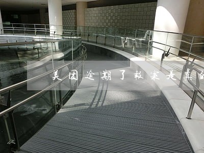 美团逾期了报案是真的不 美团逾期了报案是真的不