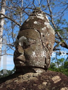 美团逾期了换了号码如何做 美团逾期了换了号码如何做