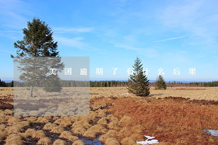 美团逾期了有什么后果 美团逾期了有什么后果