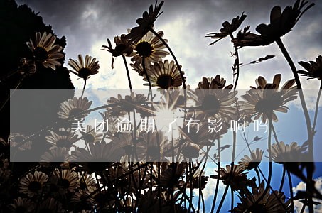 美团逾期了有影响吗