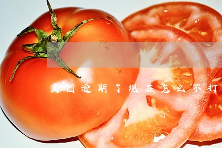 美团逾期了现在怎么不打电话催了