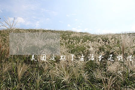 美团逾期了生活费还能借吗