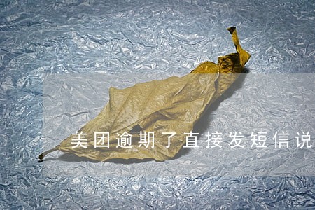 美团逾期了直接发短信说要家访