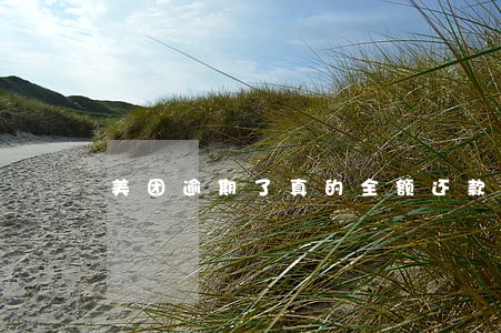美团逾期了真的全额还款