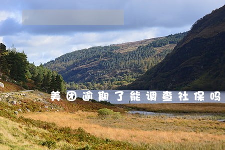 美团逾期了能调查社保吗 美团逾期了能调查社保吗