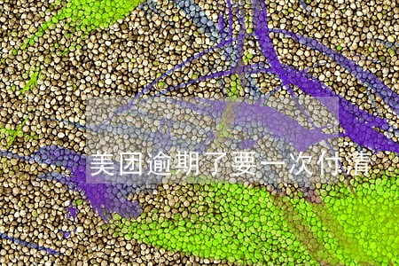 美团逾期了要一次付清 美团逾期了要一次付清