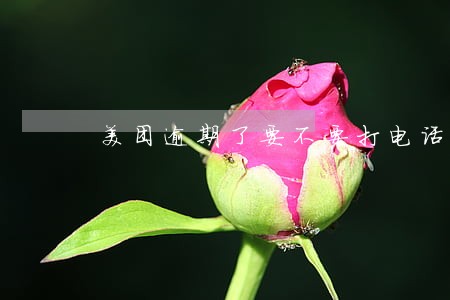 美团逾期了要不要打电话给美团 美团逾期了要不要打电话给美团