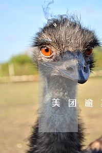 美团逾期了要去我家广播 美团逾期了要去我家广播