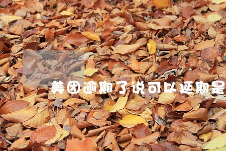 美团逾期了说可以延期是真的吗 美团逾期了说可以延期是真的吗