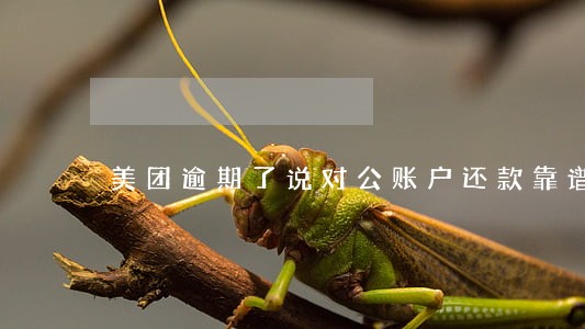 美团逾期了说对公账户还款靠谱吗 美团逾期了说对公账户还款靠谱吗