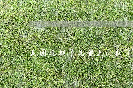 美团逾期了说要上门取证 美团逾期了说要上门取证