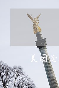 美团逾期了说要核实情况 美团逾期了说要核实情况