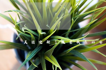 美团逾期了说要联系公安局 美团逾期了说要联系公安局