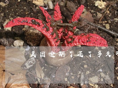美团逾期了还了多久可以借 美团逾期了还了多久可以借