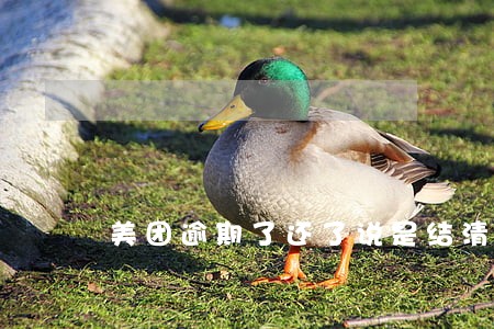 美团逾期了还了说是结清 美团逾期了还了说是结清